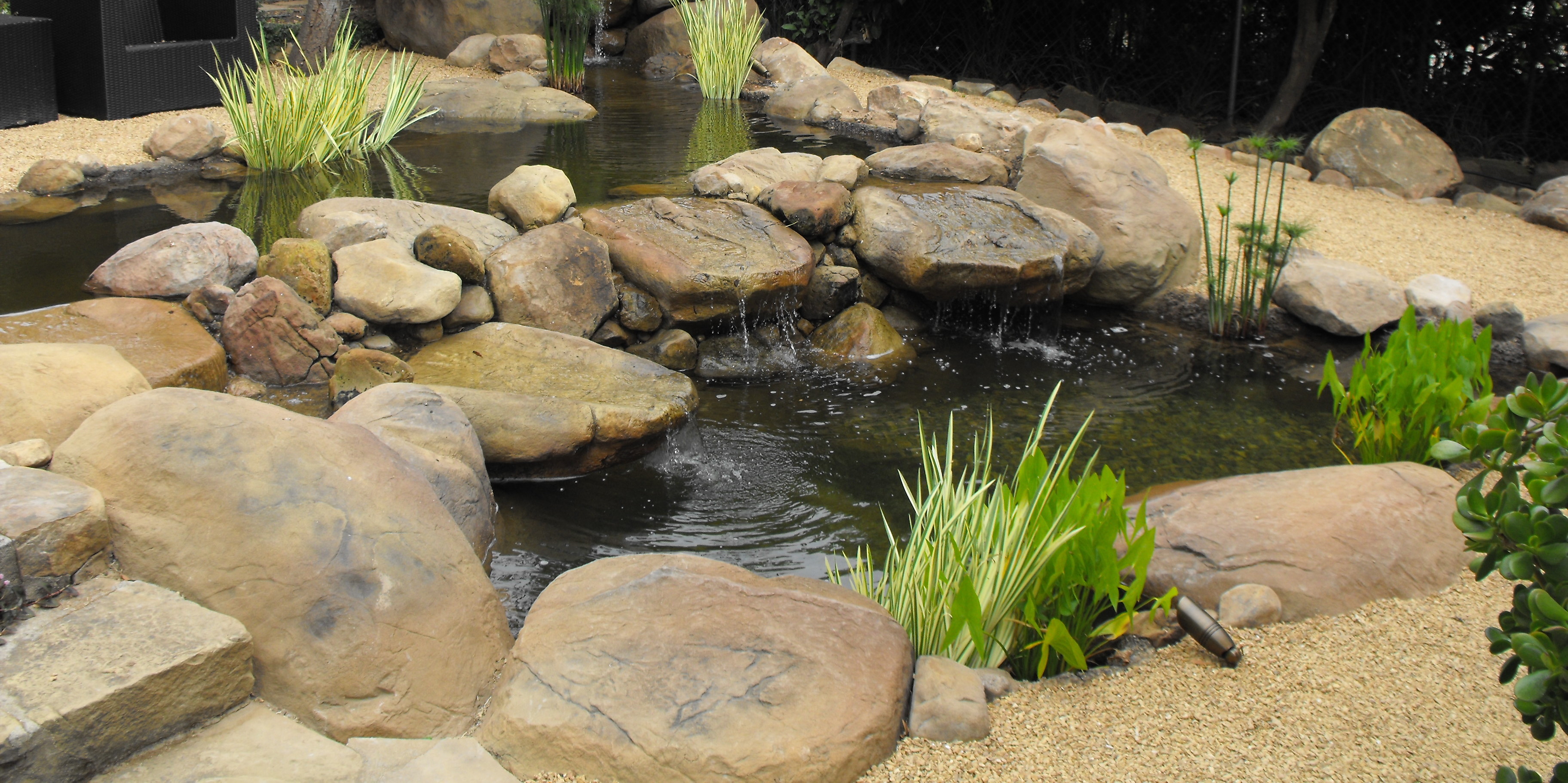 Fish Pond Waterfall - designed and built by us