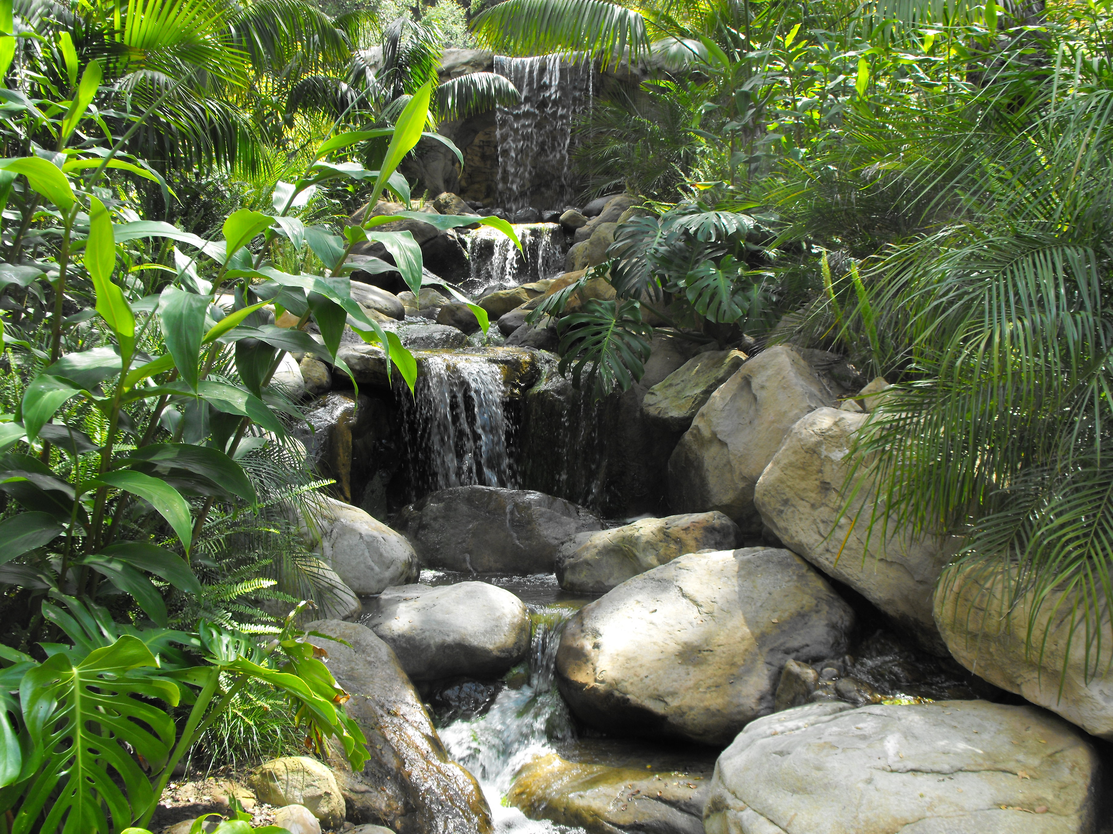 Download this Tropical Garden Waterfalls Santa Barbara picture