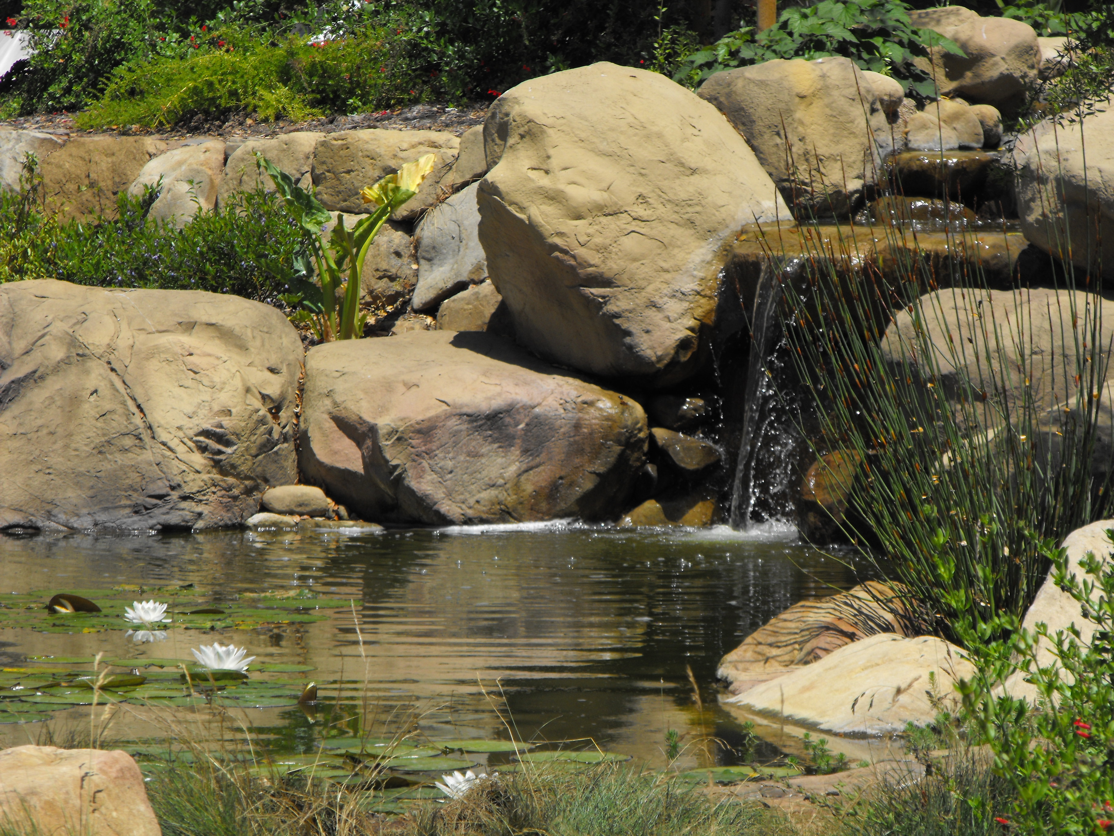 Garcia Rock And Water Design Blog Created To Feature Koi Pond Design Ideas Pond Construction Waterfall Designs Waterfall Construction Water Garden Installation Lake Construction Pond Design Ideas Fountain Design Ideas Fountain