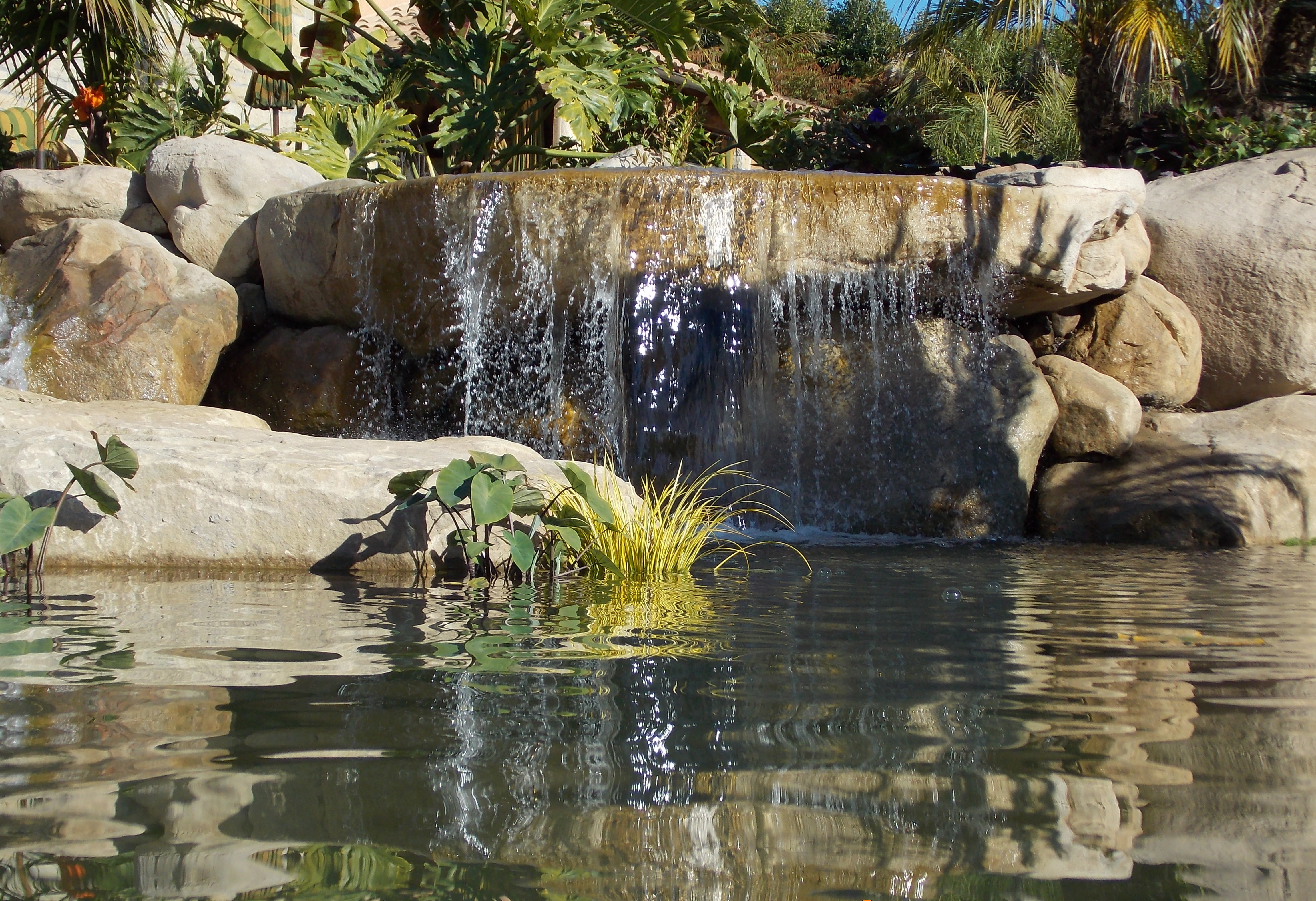 Pond Waterfall Design Ideas | Garcia Rock And Water Design Blog