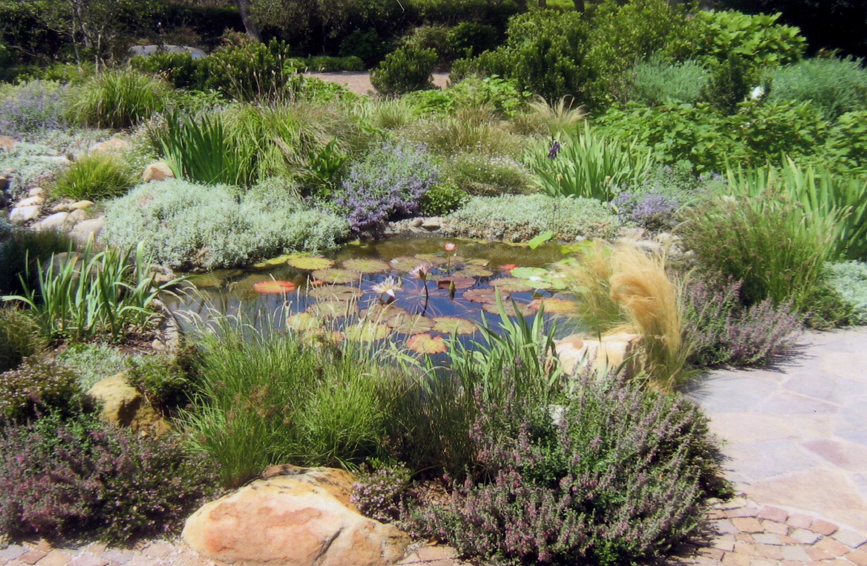 Ponds near me | Garcia Rock And Water Design Blog
