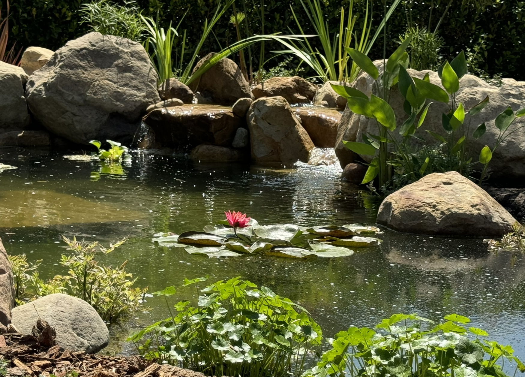 Waterfalls made by Garcia Rock And Water Design