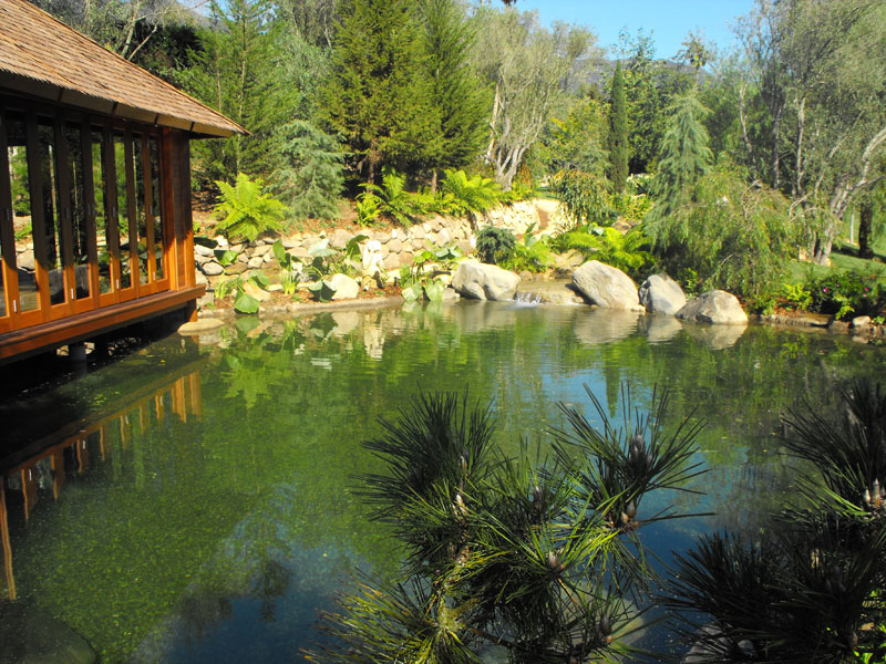 What-a-way-to-enjoy-your-pond What a way to enjoy your pond