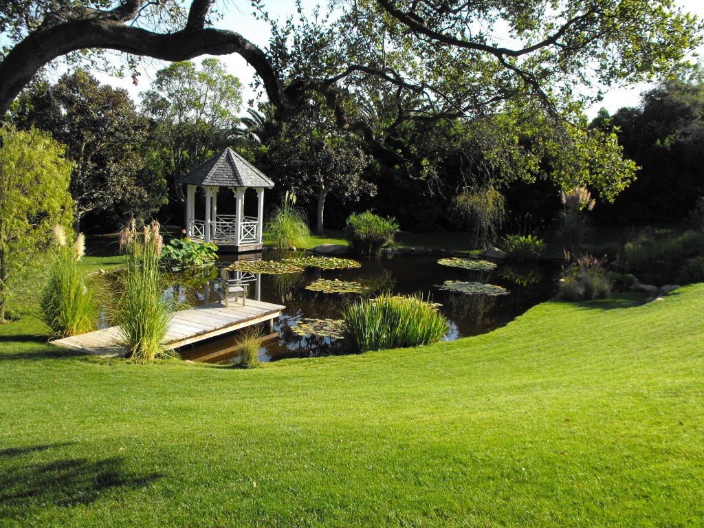 Very nice garden pond