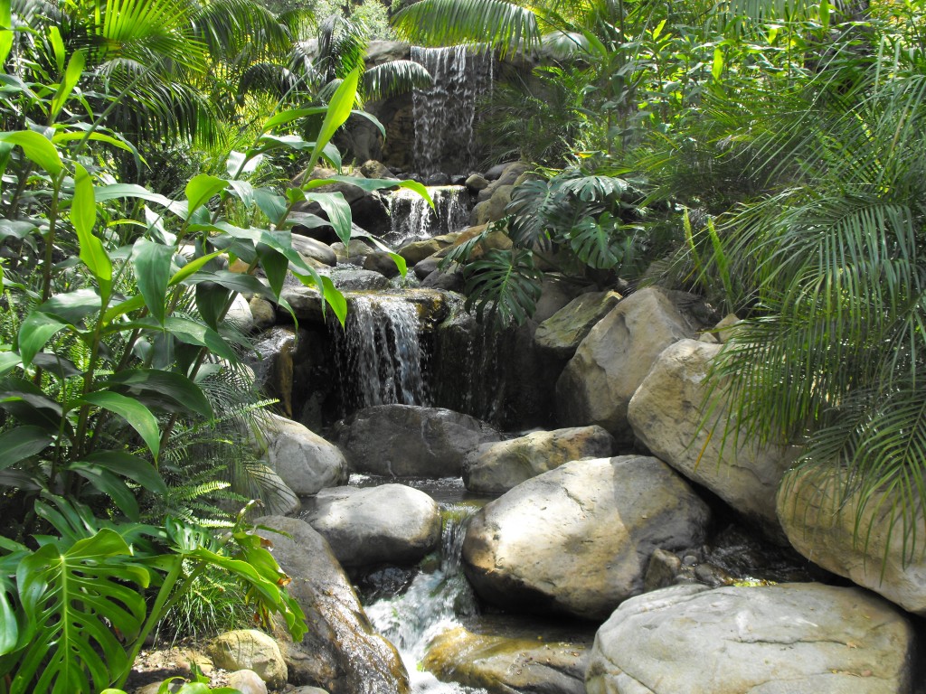 "A Very Tropical Garden Waterfall"